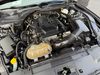 2020 Ford Mustang MUSTANG CONVERTIBLE PREMIUM ECOBOOST | Plant City Florida | Bayshore Automotive 2020 Ford Mustang MUSTANG CONVERTIBLE PREMIUM ECOBOOST | Plant City Florida | Bayshore Automotive