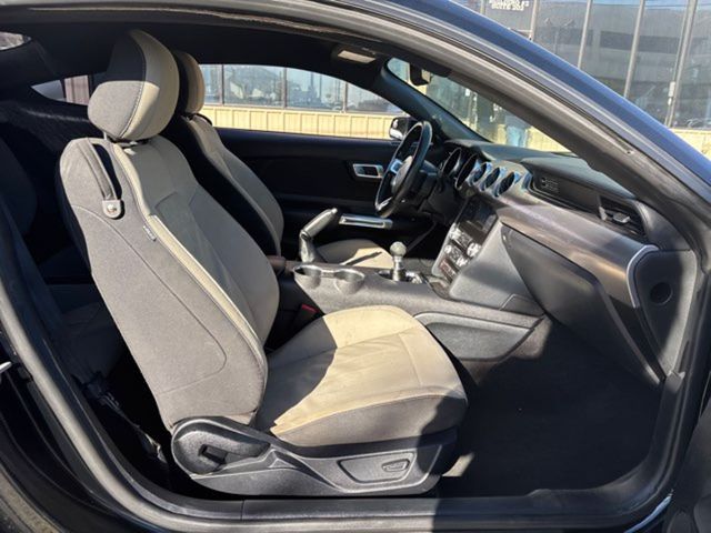 2020 Ford Mustang GT | San Antonio, TX | Clear Choice Automotive South