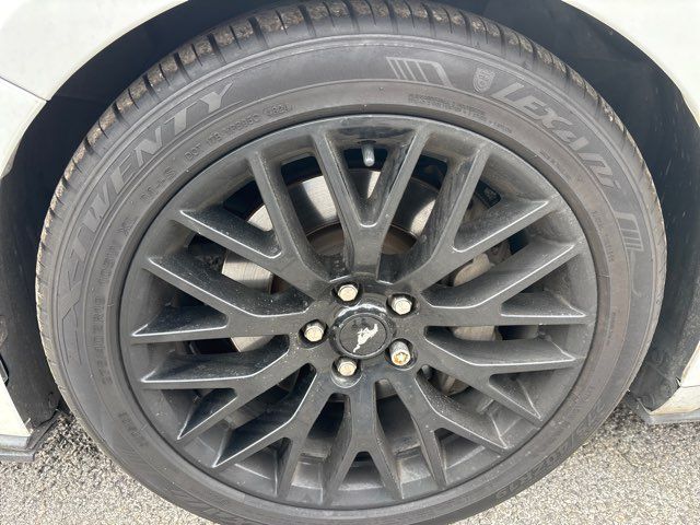 2020 Ford Mustang GT Premium | San Antonio, TX | Clear Choice Automotive South 2020 Ford Mustang GT Premium | San Antonio, TX | Clear Choice Automotive South