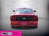 2020 Ford Mustang EcoBoost Premium | Tomball, TX | Ask Jorge Lopez 2020 Ford Mustang EcoBoost Premium | Tomball, TX | Ask Jorge Lopez