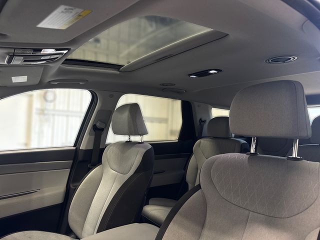 2020 Hyundai PALISADE SEL | Houston, TX | Texas Star Motors