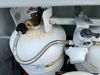 1985 Lance 2020 Travel Trailer 1985 Lance 2020 Travel Trailer