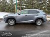 2020 Lexus NX 300 Base | Farmington, MN | Dakota Motor Company 2020 Lexus NX 300 Base | Farmington, MN | Dakota Motor Company
