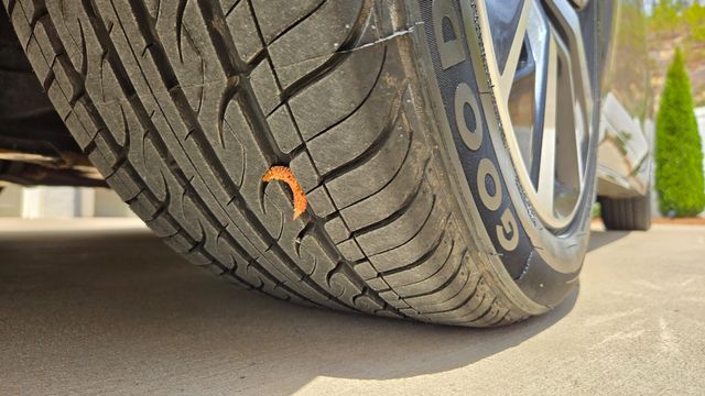 2020 Nissan Maxima 3.5 SL | Cullman, AL | Cullman Auto Rebuilders