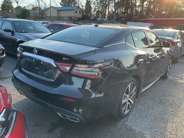 2020 Nissan Maxima 3.5 SV - John Gibson Auto Sales Hot Springs 2020 Nissan Maxima 3.5 SV - John Gibson Auto Sales Hot Springs