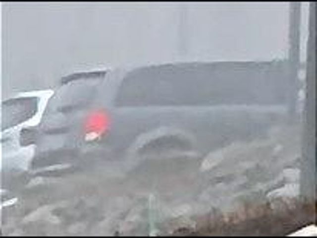 2020 Volkswagen Tiguan S 4Motion