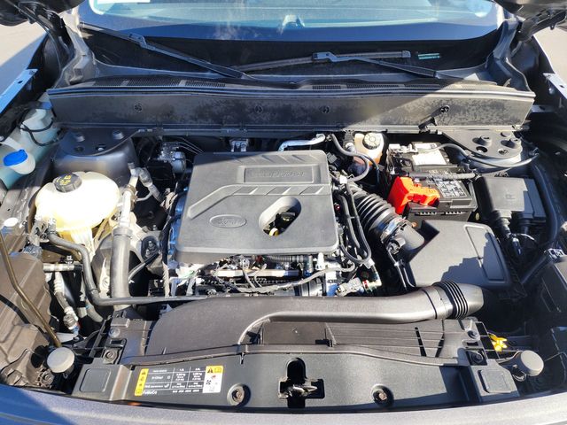 2021 Ford Bronco Sport Big Bend 2021 Ford Bronco Sport Big Bend