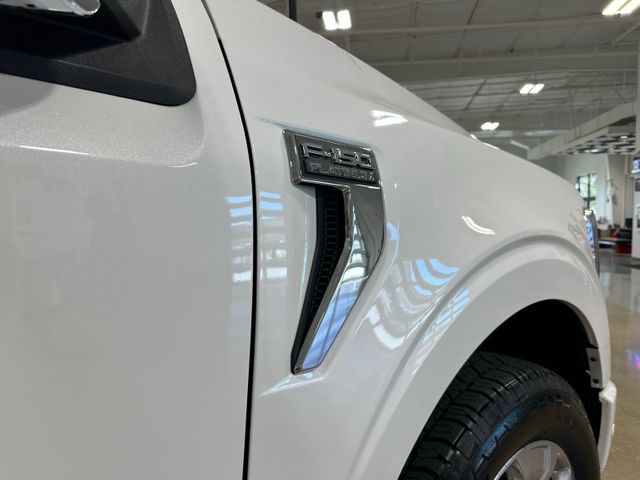 2021 Ford F-150 Platinum | Irving, Texas | Hopper Motorplex 2021 Ford F-150 Platinum | Irving, Texas | Hopper Motorplex