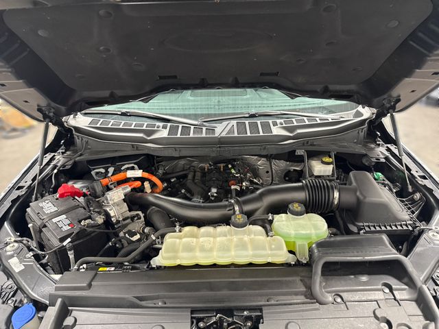 2021 Ford F-150 XLT | Houston, TX | Texas Star Motors