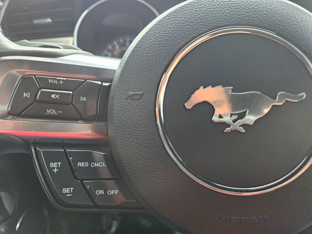 2021 Ford Mustang EcoBoost Premium | Brownsville TX | English Motors