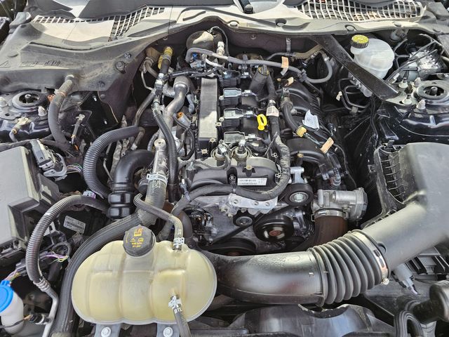 2021 Ford Mustang EcoBoost Premium | Brownsville TX | English Motors