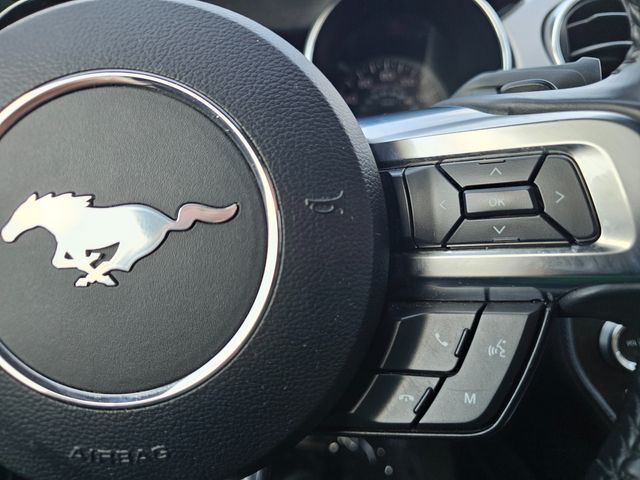 2021 Ford Mustang EcoBoost Premium | Brownsville TX | English Motors