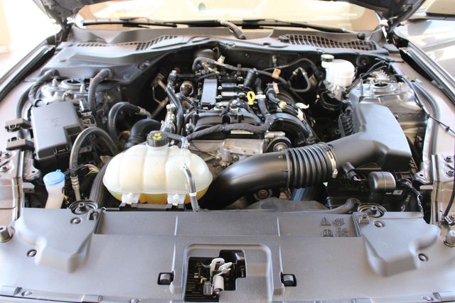 2021 Ford Mustang EcoBoost | Bullhead City, AZ | Automobile Consulting Services 2021 Ford Mustang EcoBoost | Bullhead City, AZ | Automobile Consulting Services