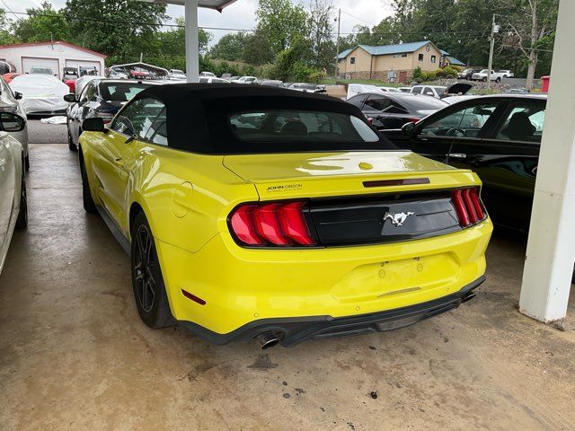 2021 Ford Mustang  - John Gibson Auto Sales Hot Springs