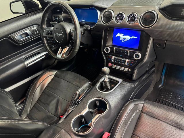 2021 Ford Mustang GT Premium 2dr Fastback | Houston, TX | Houston Auto Credit 2021 Ford Mustang GT Premium 2dr Fastback | Houston, TX | Houston Auto Credit