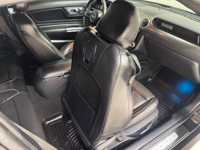 2021 Ford Mustang GT Premium 2dr Fastback | Houston, TX | Houston Auto Credit 2021 Ford Mustang GT Premium 2dr Fastback | Houston, TX | Houston Auto Credit