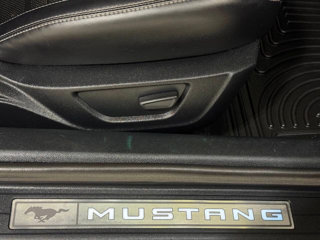 2021 Ford Mustang GT Premium 2dr Fastback | Houston, TX | Houston Auto Credit 2021 Ford Mustang GT Premium 2dr Fastback | Houston, TX | Houston Auto Credit