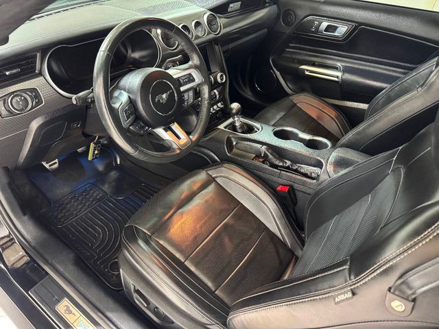 2021 Ford Mustang GT Premium 2dr Fastback | Houston, TX | Houston Auto Credit 2021 Ford Mustang GT Premium 2dr Fastback | Houston, TX | Houston Auto Credit