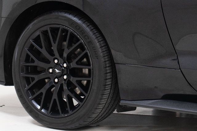 2021 Ford Mustang GT Premium 2dr Fastback | Houston, TX | Houston Auto Credit 2021 Ford Mustang GT Premium 2dr Fastback | Houston, TX | Houston Auto Credit