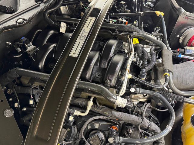 2021 Ford Mustang GT Premium 2dr Fastback | Houston, TX | Houston Auto Credit 2021 Ford Mustang GT Premium 2dr Fastback | Houston, TX | Houston Auto Credit