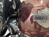 2021 Harley-Davidson Touring Road Glide Special | Jackson, Georgia | MAXIMUM MOTORS 2021 Harley-Davidson Touring Road Glide Special | Jackson, Georgia | MAXIMUM MOTORS