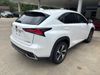 2021 Lexus NX 300h Base | Sheridan, Arkansas | Dennis Teague Chevrolet