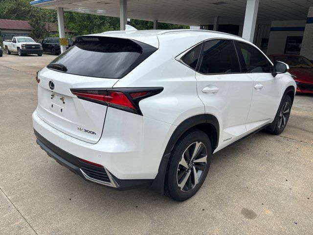 2021 Lexus NX 300h Base