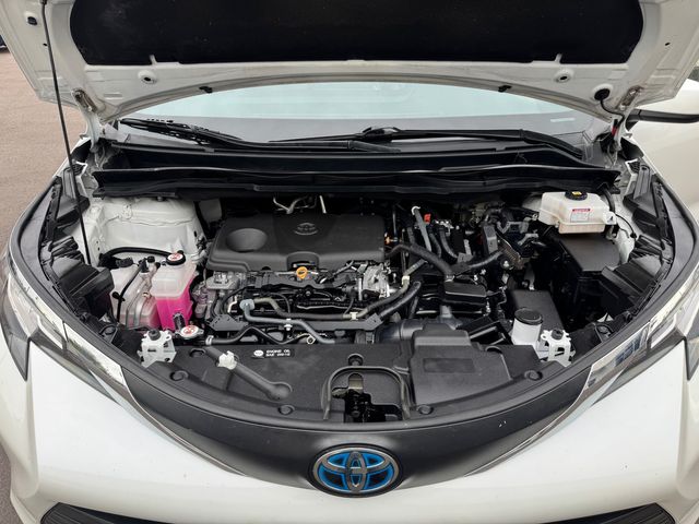 2021 Toyota Sienna XLE 8-Passenger