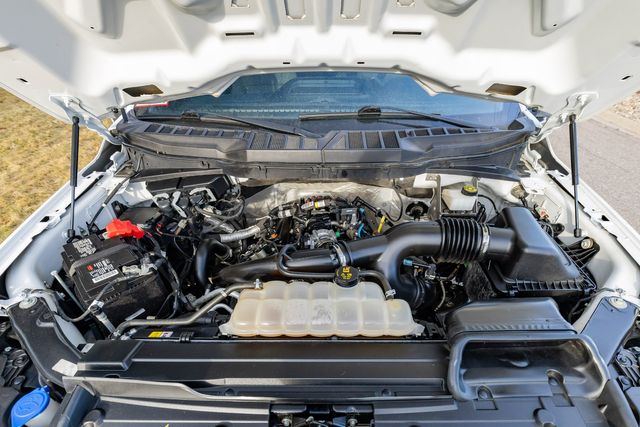 2022 Ford F-150 XL | Great Falls, Montana | Bleskin Motor Company 