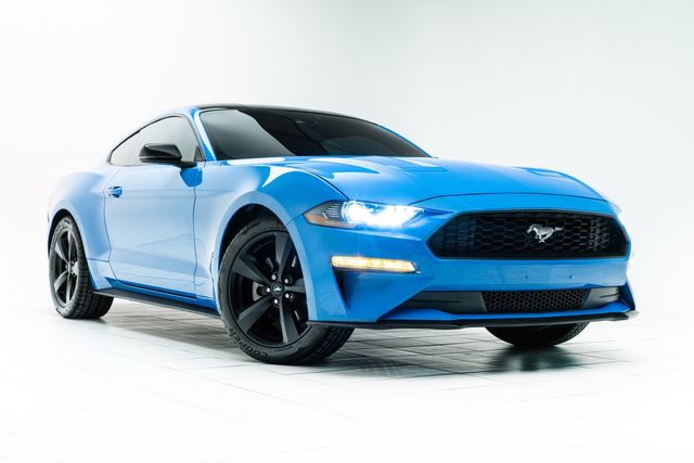 2022 Ford Mustang EcoBoost Premium in Grabber Blue | Carrollton, TX | Texas Hot Rides 2022 Ford Mustang EcoBoost Premium in Grabber Blue | Carrollton, TX | Texas Hot Rides