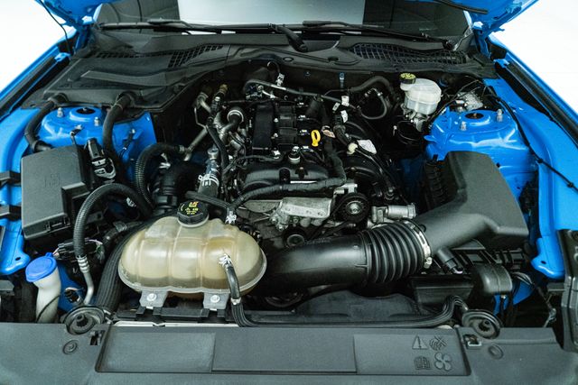 2022 Ford Mustang EcoBoost Premium in Grabber Blue | Carrollton, TX | Texas Hot Rides 2022 Ford Mustang EcoBoost Premium in Grabber Blue | Carrollton, TX | Texas Hot Rides