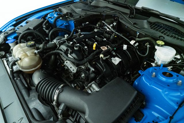 2022 Ford Mustang EcoBoost Premium in Grabber Blue | Carrollton, TX | Texas Hot Rides 2022 Ford Mustang EcoBoost Premium in Grabber Blue | Carrollton, TX | Texas Hot Rides