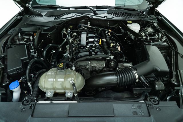 2022 Ford Mustang EcoBoost Premium Convertible | Carrollton, TX | Texas Hot Rides 2022 Ford Mustang EcoBoost Premium Convertible | Carrollton, TX | Texas Hot Rides