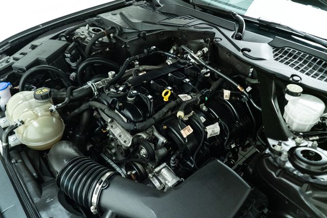 2022 Ford Mustang EcoBoost Premium Convertible | Carrollton, TX | Texas Hot Rides 2022 Ford Mustang EcoBoost Premium Convertible | Carrollton, TX | Texas Hot Rides