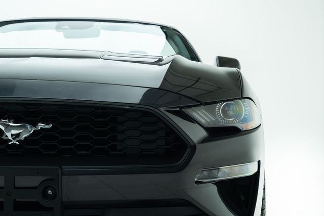 2022 Ford Mustang EcoBoost Premium Convertible | Carrollton, TX | Texas Hot Rides