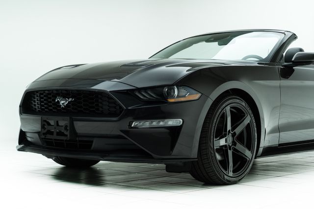 2022 Ford Mustang EcoBoost Premium Convertible | Carrollton, TX | Texas Hot Rides