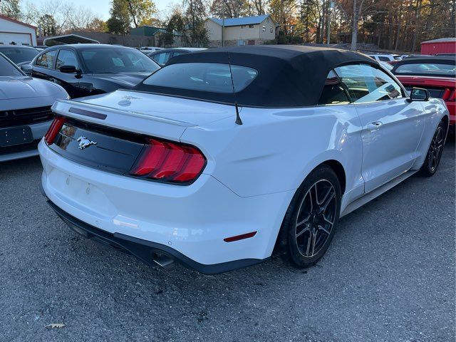 2022 Ford Mustang 2022 Ford Mustang
