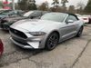 2022 Ford Mustang - John Gibson Auto Sales Hot Springs 2022 Ford Mustang - John Gibson Auto Sales Hot Springs