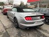 2022 Ford Mustang  - John Gibson Auto Sales Hot Springs
