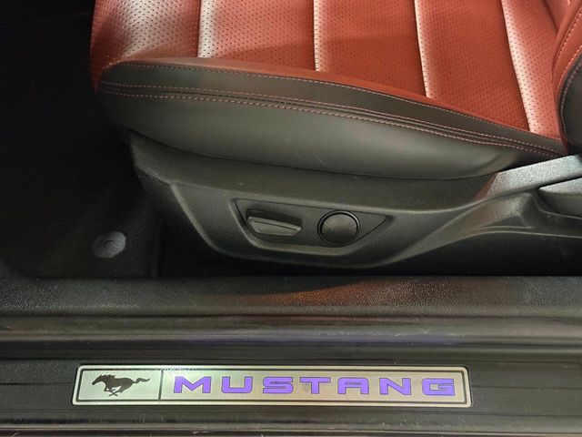 2022 Ford Mustang GT Premium 2dr Fastback | Houston, TX | Houston Auto Credit