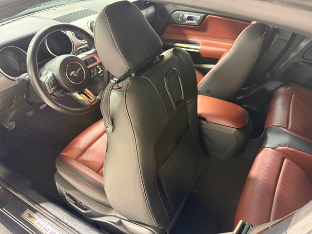 2022 Ford Mustang GT Premium 2dr Fastback | Houston, TX | Houston Auto Credit 2022 Ford Mustang GT Premium 2dr Fastback | Houston, TX | Houston Auto Credit