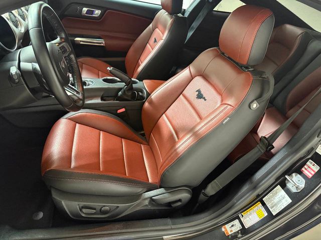 2022 Ford Mustang GT Premium 2dr Fastback | Houston, TX | Houston Auto Credit