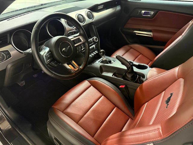 2022 Ford Mustang GT Premium 2dr Fastback | Houston, TX | Houston Auto Credit 2022 Ford Mustang GT Premium 2dr Fastback | Houston, TX | Houston Auto Credit
