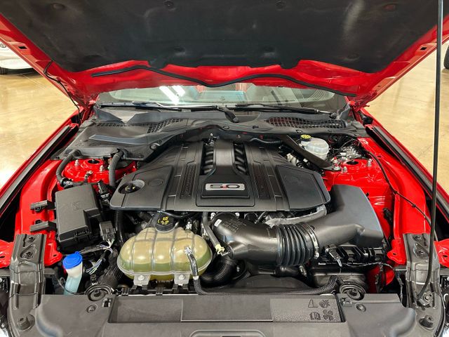 2022 Ford Mustang GT Premium 5.0 COYOTE V8 6-Speed Manual 12" LCD... | Irving, Texas | Hopper Motorplex 2022 Ford Mustang GT Premium 5.0 COYOTE V8 6-Speed Manual 12" LCD... | Irving, Texas | Hopper Motorplex