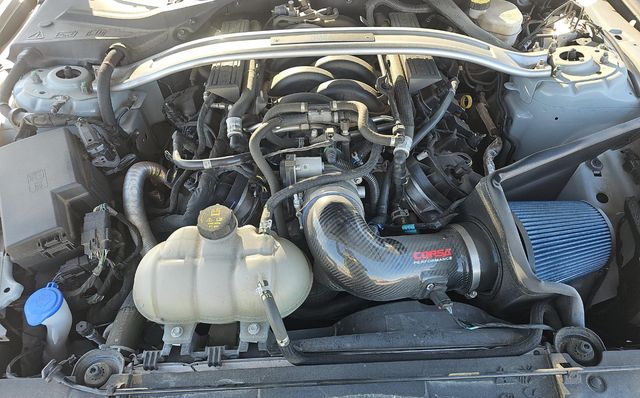 2022 Ford Mustang Mach 1 | Longwood, FL | Millenia Motors 2022 Ford Mustang Mach 1 | Longwood, FL | Millenia Motors