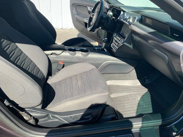 2022 Ford Mustang Mach 1 | San Antonio, TX | Clear Choice Automotive South 2022 Ford Mustang Mach 1 | San Antonio, TX | Clear Choice Automotive South