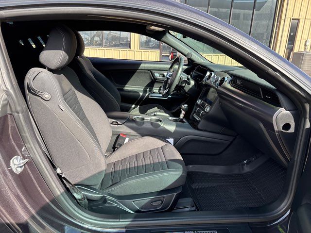 2022 Ford Mustang Mach 1 | San Antonio, TX | Clear Choice Automotive South 2022 Ford Mustang Mach 1 | San Antonio, TX | Clear Choice Automotive South