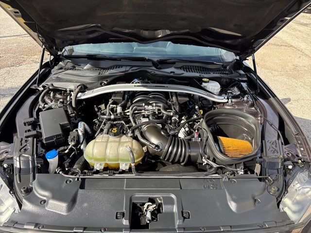 2022 Ford Mustang Mach 1 | San Antonio, TX | Clear Choice Automotive South 2022 Ford Mustang Mach 1 | San Antonio, TX | Clear Choice Automotive South