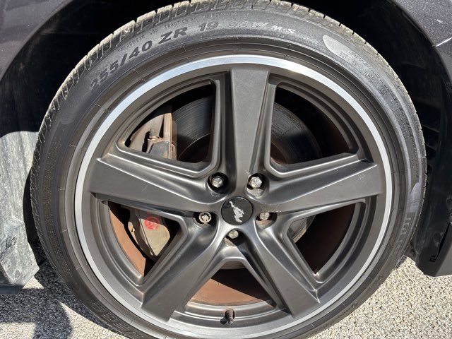 2022 Ford Mustang Mach 1 | San Antonio, TX | Clear Choice Automotive South 2022 Ford Mustang Mach 1 | San Antonio, TX | Clear Choice Automotive South