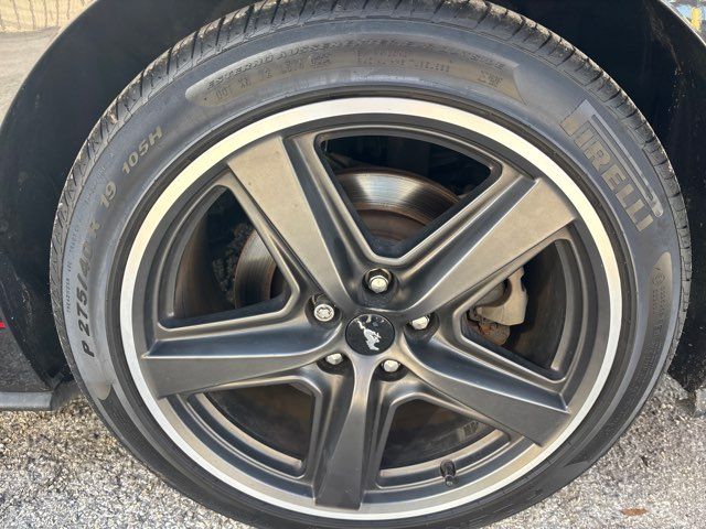 2022 Ford Mustang Mach 1 | San Antonio, TX | Clear Choice Automotive South 2022 Ford Mustang Mach 1 | San Antonio, TX | Clear Choice Automotive South